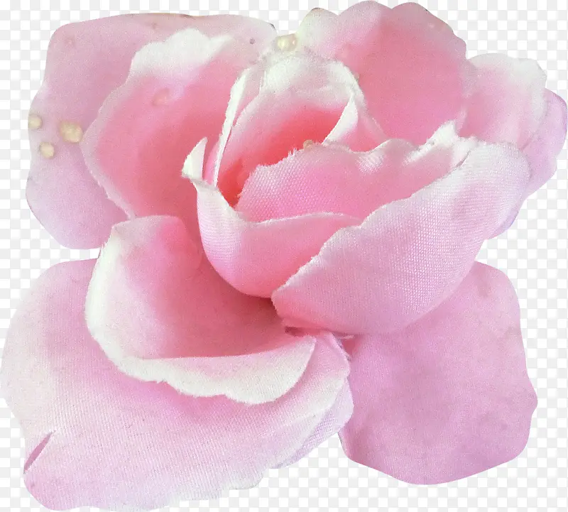 粉色装饰玫瑰花朵