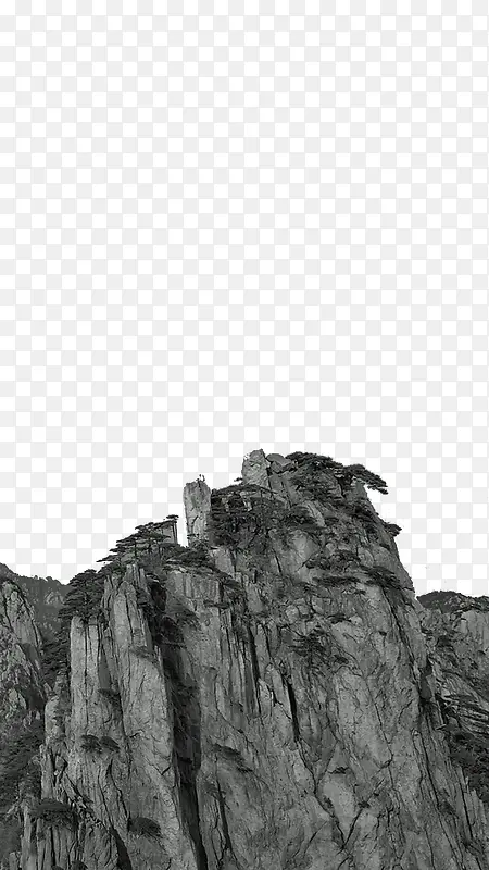 峭壁上的松树