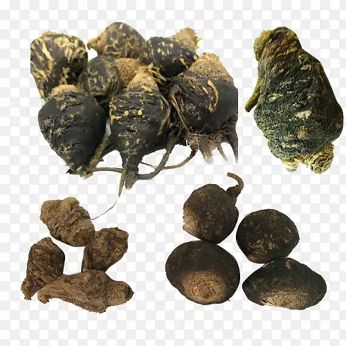 珍贵药材