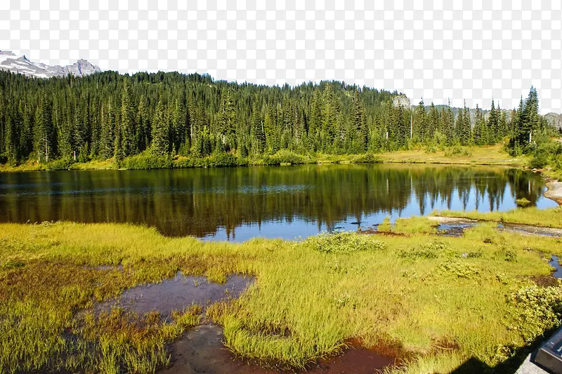 瑞尼尔山国家公园风景图