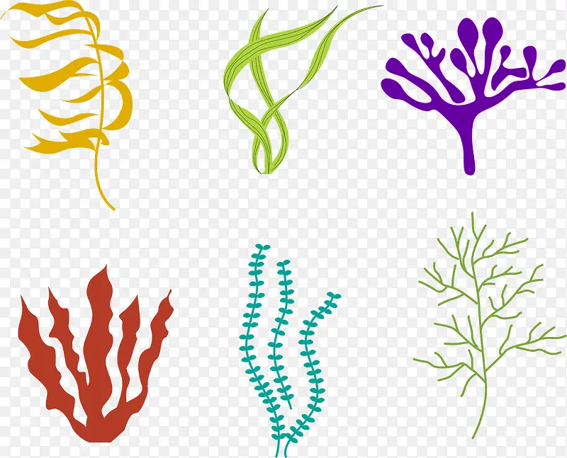 6种彩色海草海藻矢量图