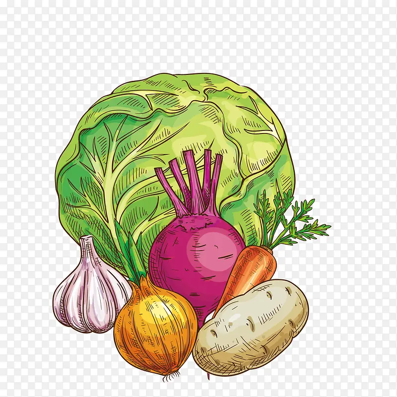 卡通各种蔬菜矢量图