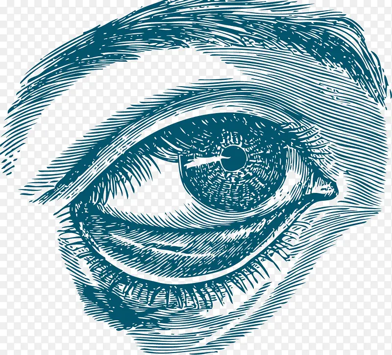 人类眼睛器官手绘表达