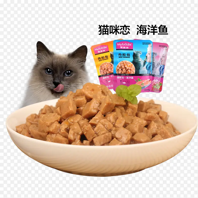 猫零食图片