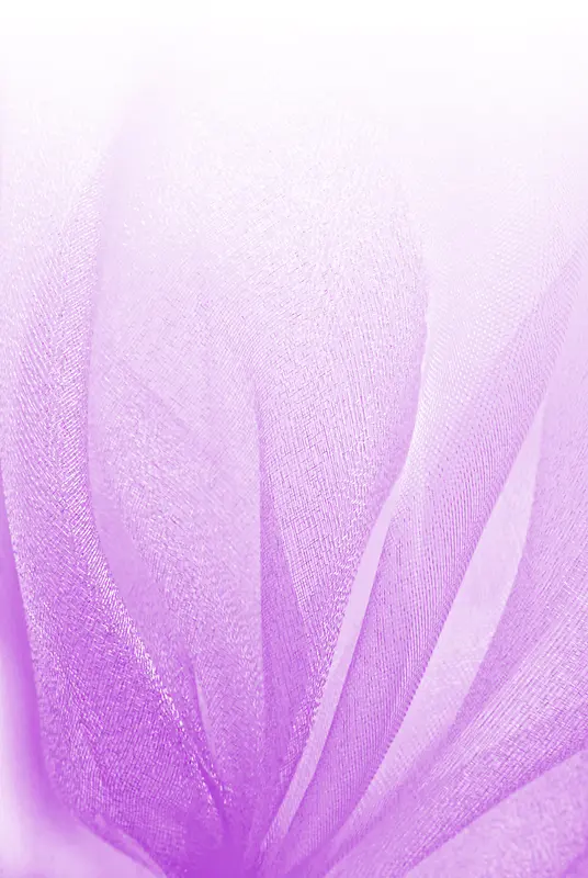 紫色雪纺背景