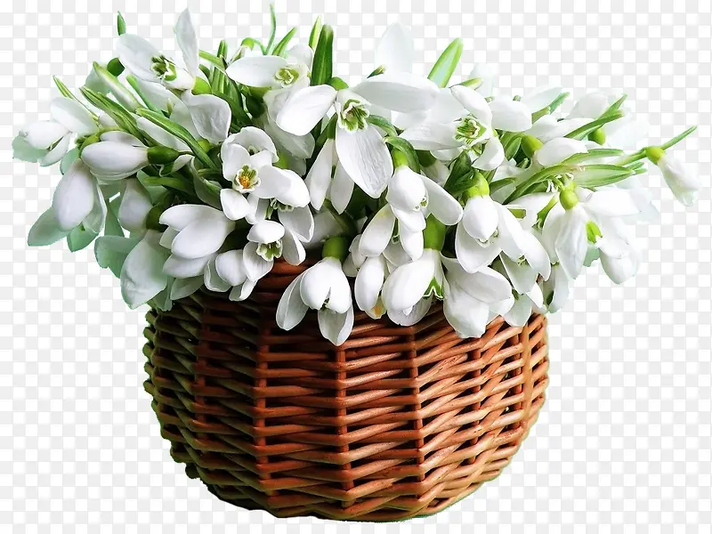 一篮白色鲜花