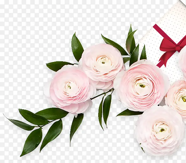 节日祝福粉嫩花卉礼物