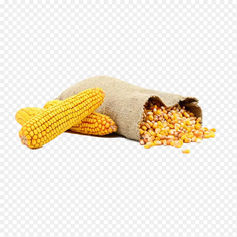 玉米小麦白底免抠