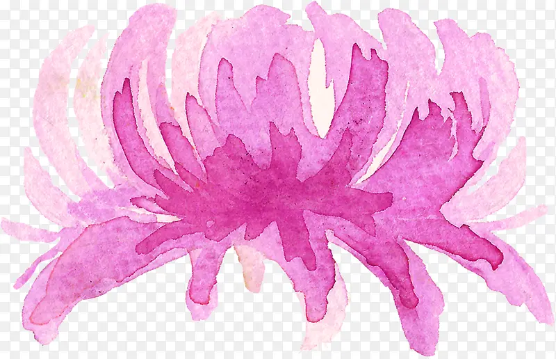 水彩墨菊花花朵图片素材