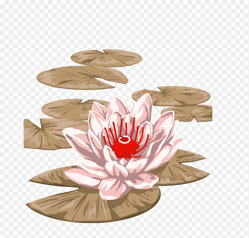 手绘荷花