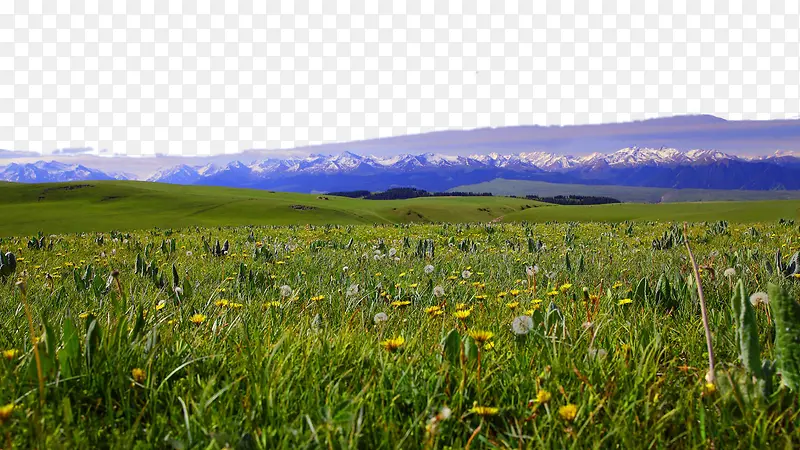 新疆喀拉峻草原一