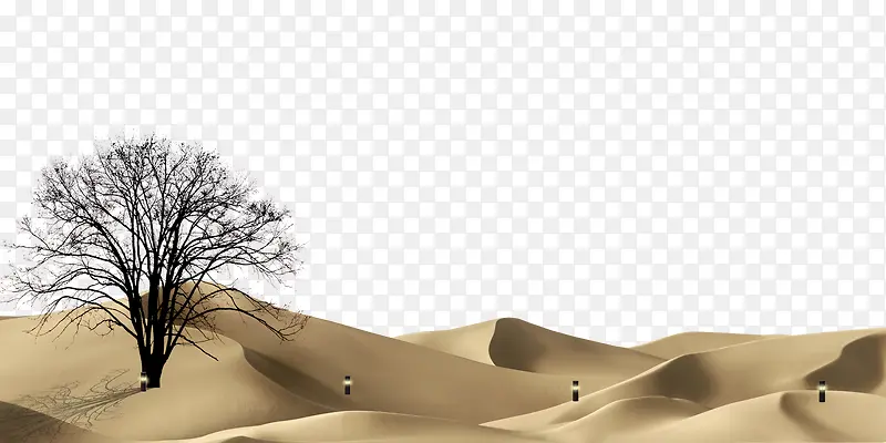 沙漠风沙枯树