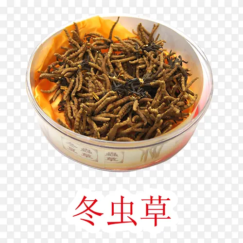 药材冬虫草