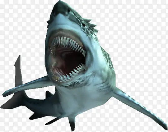 张口的鲨鱼