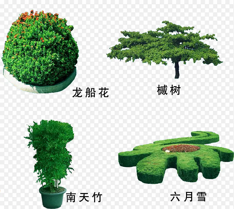 园林绿植绿化素材