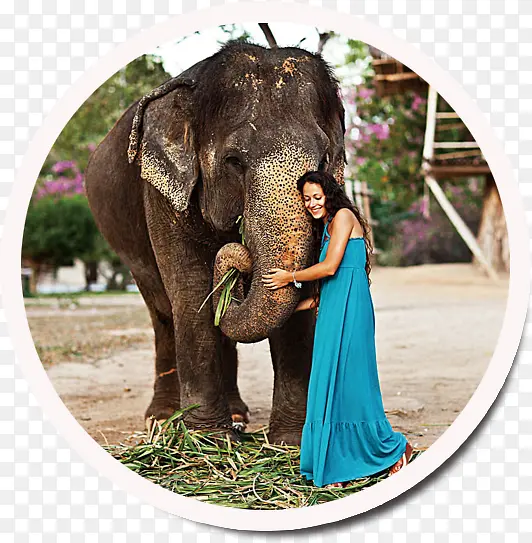 泰国旅游大象装饰图案