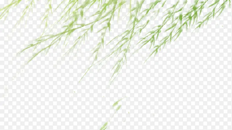绿色手绘风吹动的柳树枝背景