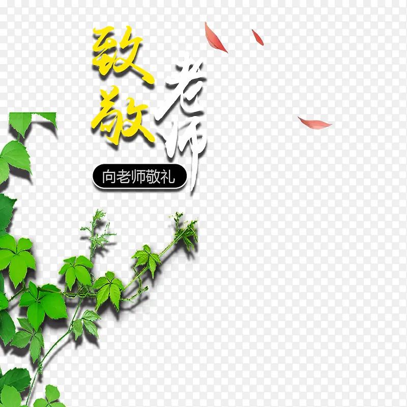 致敬老师教师节