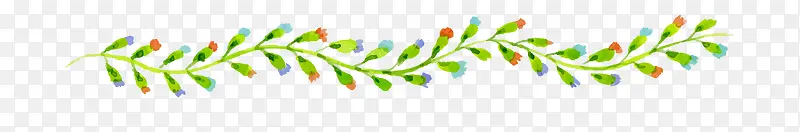 彩色手绘的植物分割线