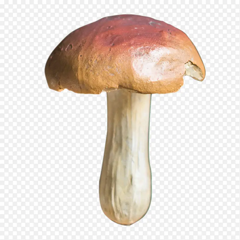 蘑菇花插树脂