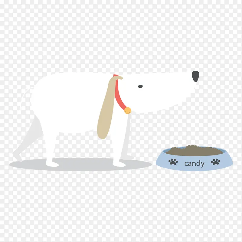 白色吃狗粮的宠物狗
