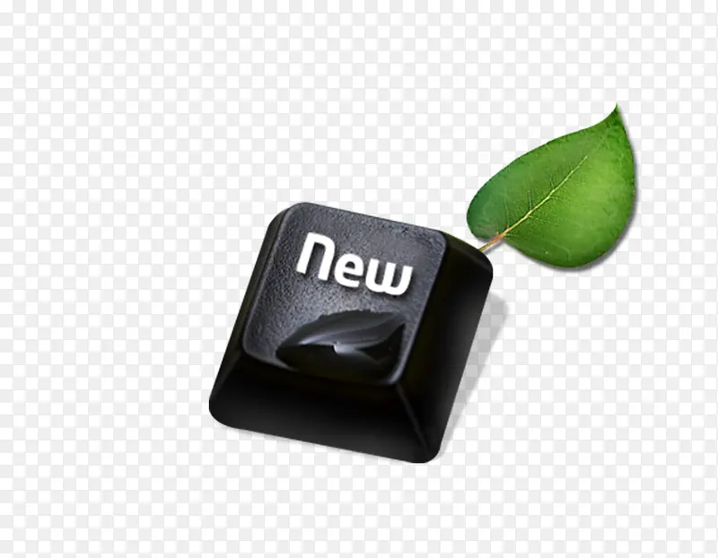 键盘按键