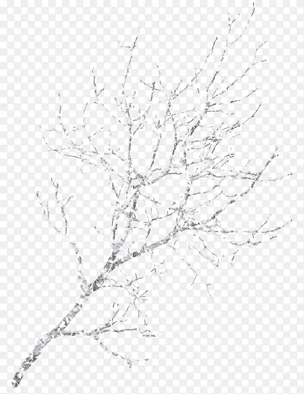 冰雪覆盖树枝