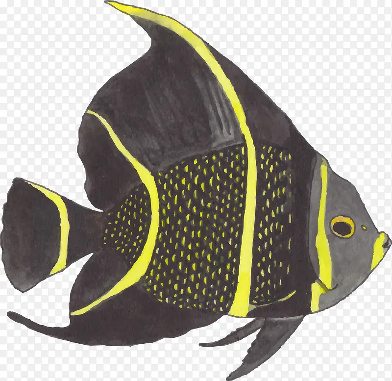 手绘黑黄相间的鱼