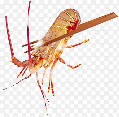 筷子夹虾