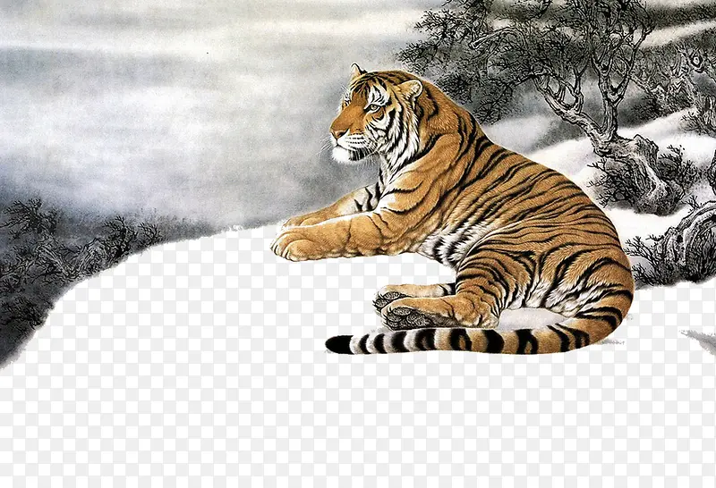 雪地里的虎