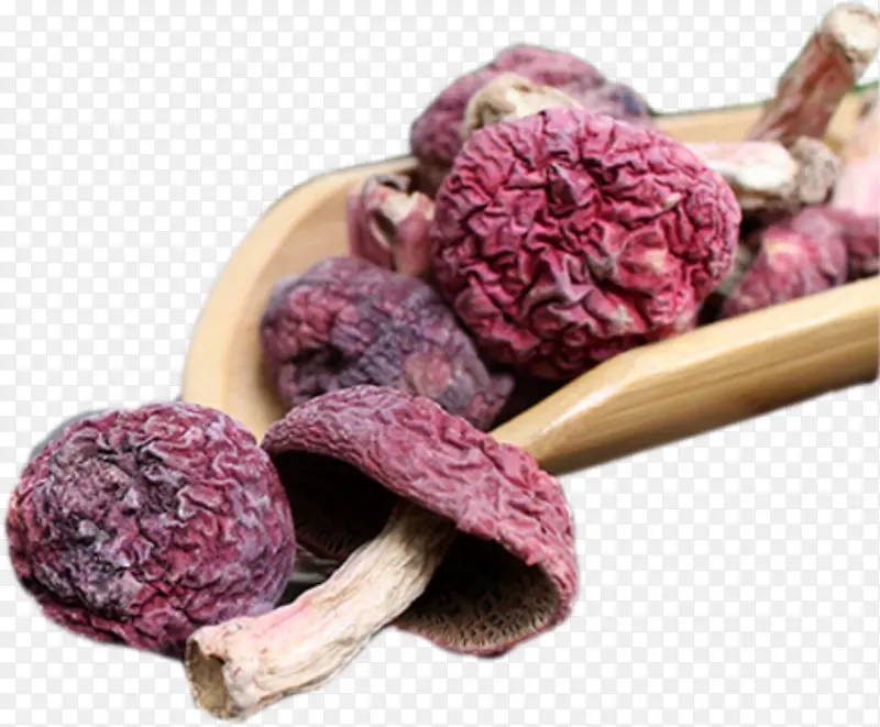 红菇菌类