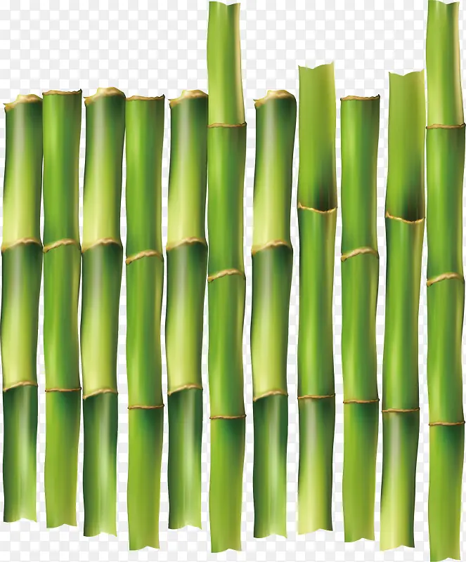 绿色竹筏