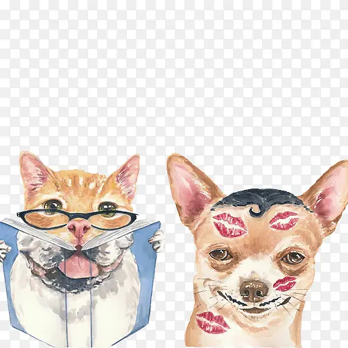 猫狗趣味动态图