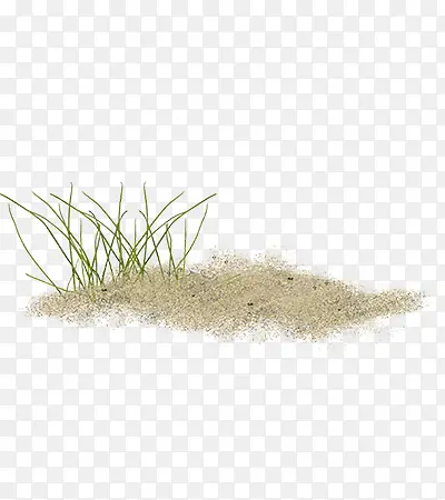 一棵草跟一堆沙