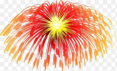 烟花 礼花 节日 爆竹