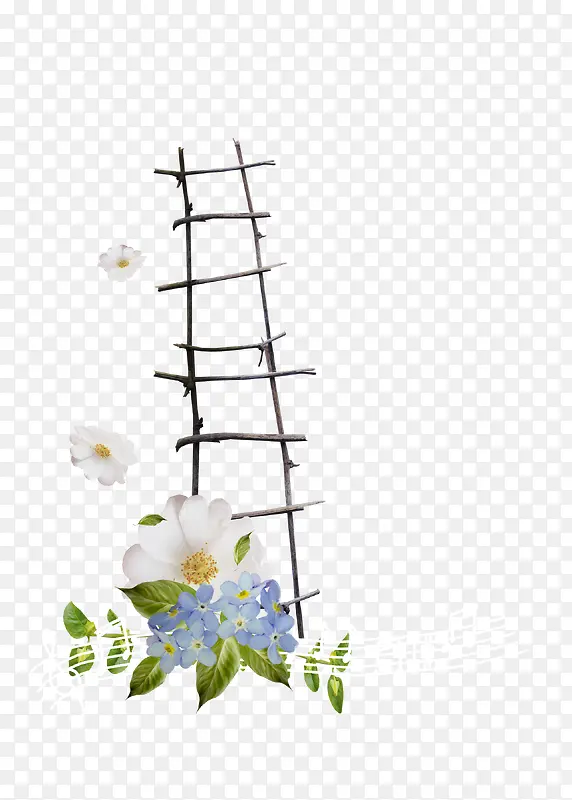 花朵梯子