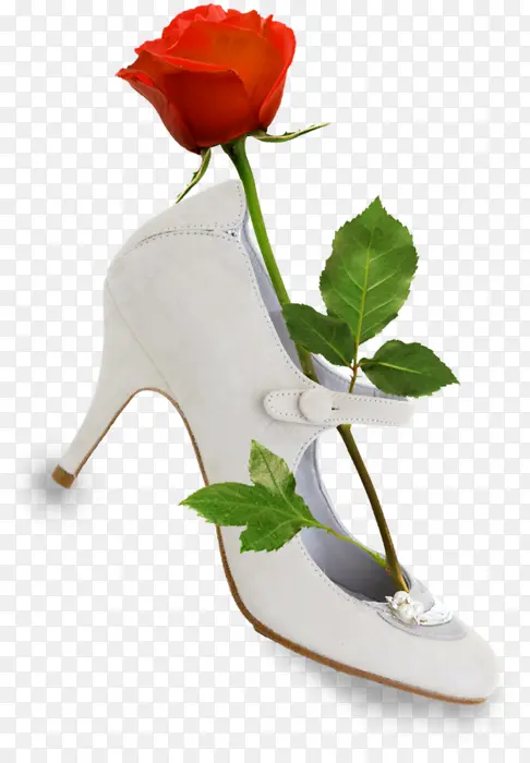 一枝玫瑰放在鞋子上