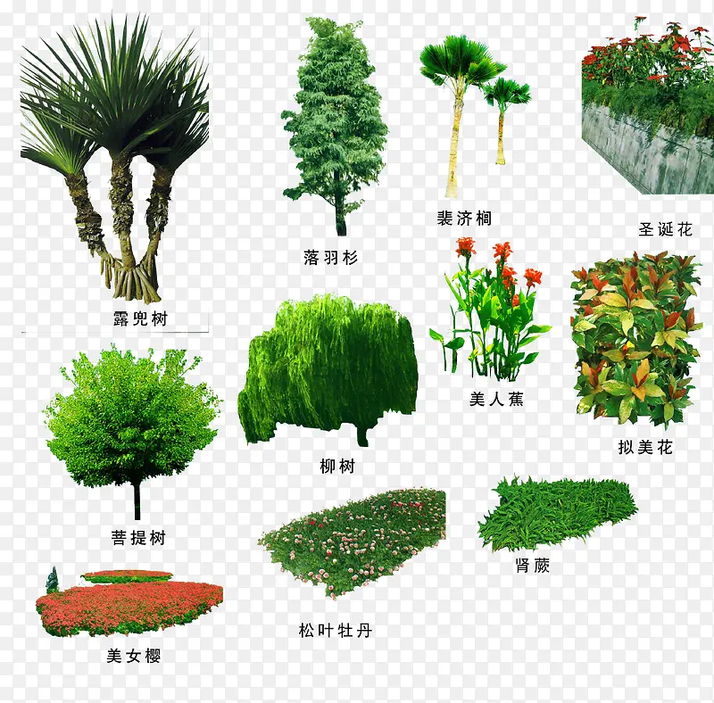 绿色植物PNG图片素材下载_图片编号ygvlkvnq-免抠素材网