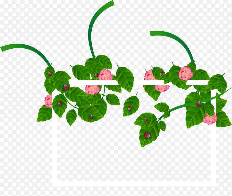 绿色春季花藤框架