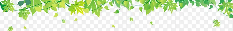绿色漂浮艺术悬浮树叶