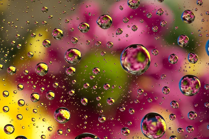 玻璃水珠鲜花背景