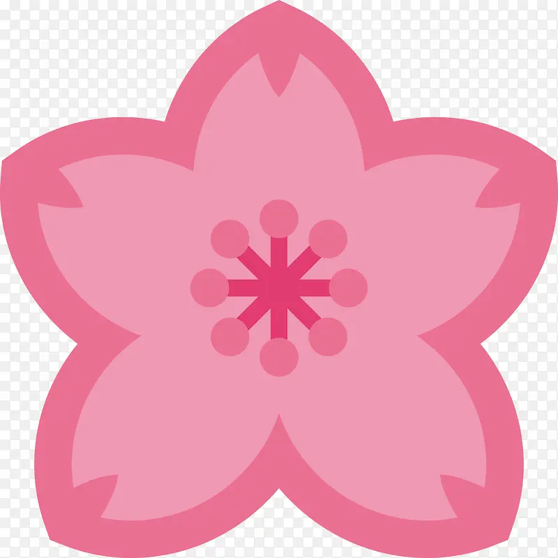 一朵粉色的梅花花朵