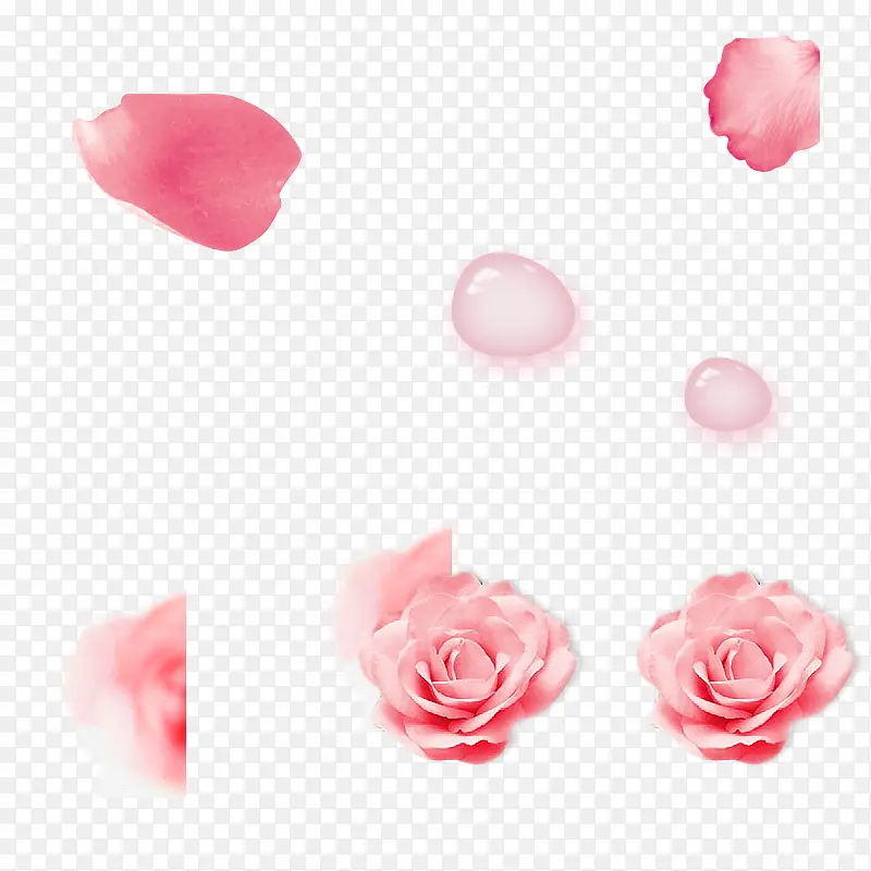 粉色玫瑰花艺术水滴