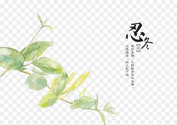手绘中医中药素材