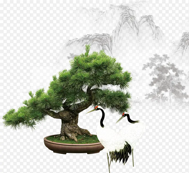 松树素材PNG图片素材下载_图片编号ygvzkadq-免抠素材网
