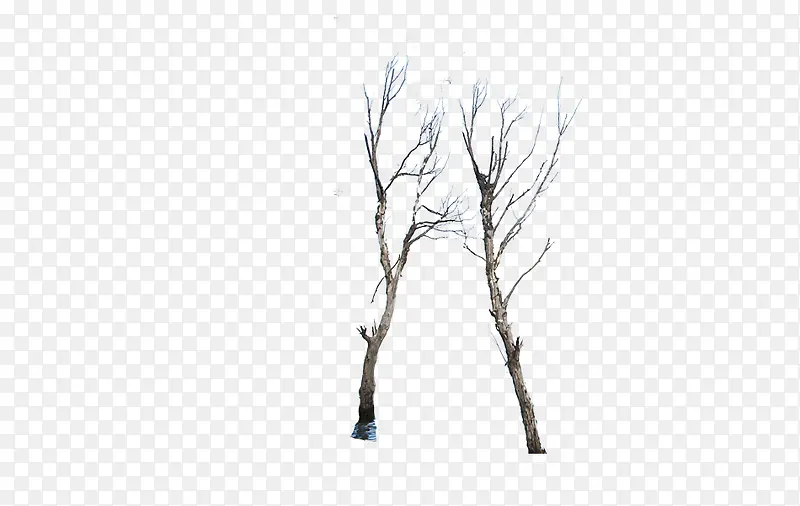 干树枝素材图案