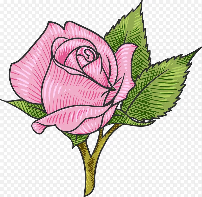 矢量图带刺的粉色玫瑰