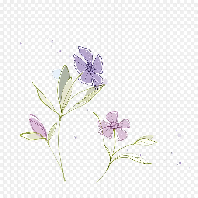 浅紫色花朵