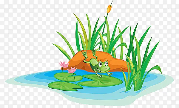 水里的青蛙