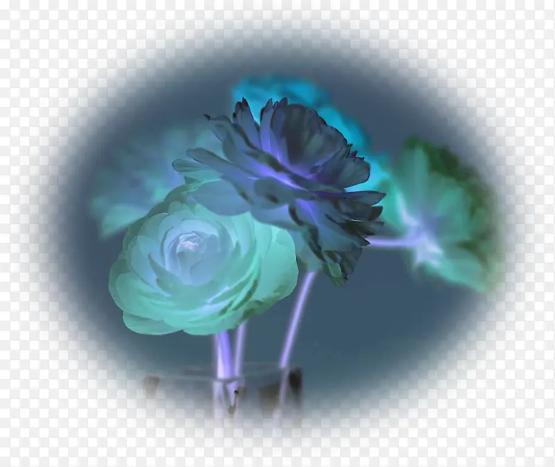 蓝色唯美夜景花朵